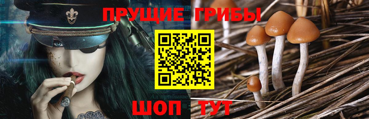 Псилоцибиновые грибы ЛСД  Вход с VPN  Ирбит 